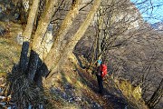 82 Si scende in bosco di faggi e carpini neri